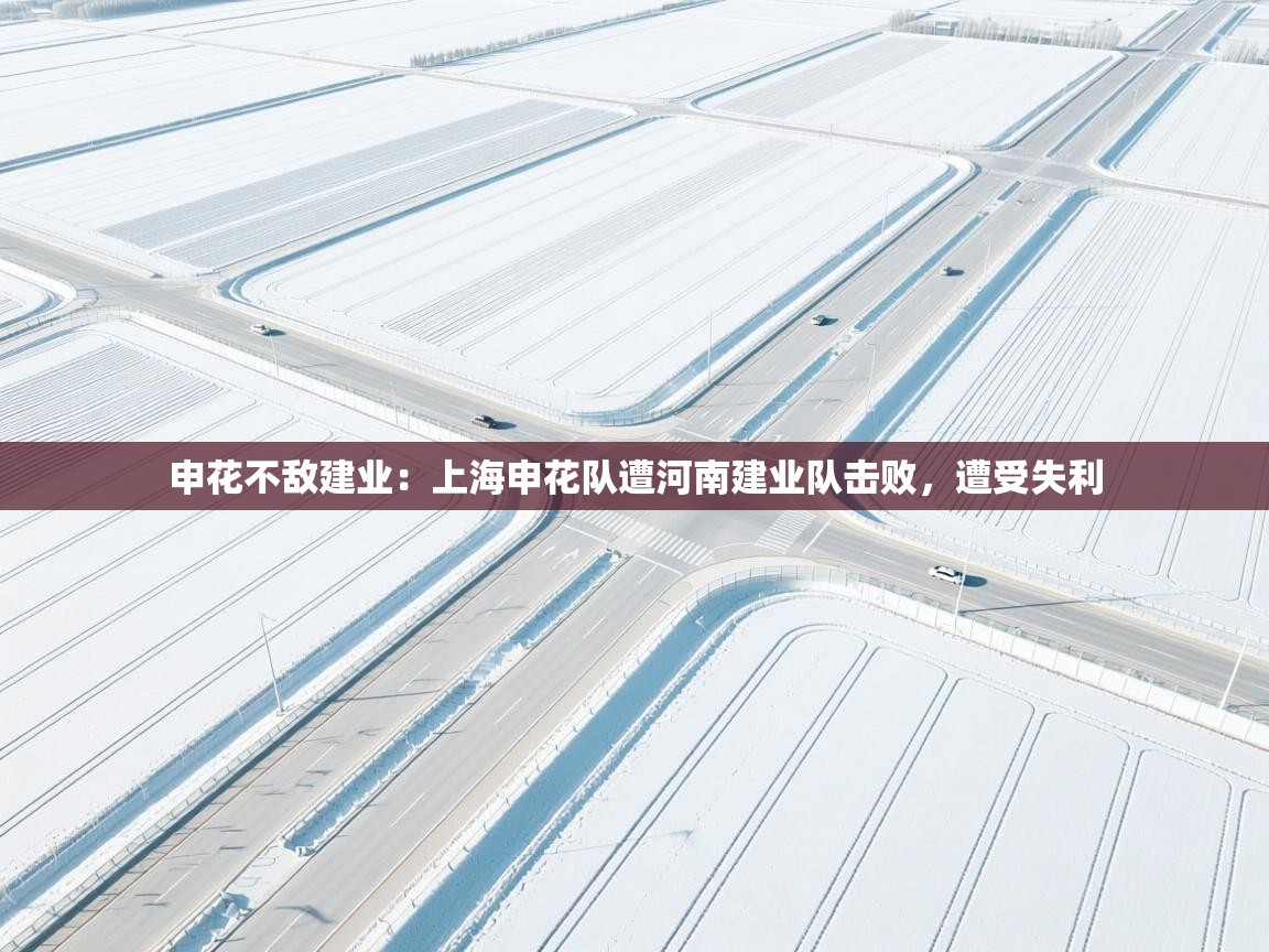 申花不敌建业：上海申花队遭河南建业队击败，遭受失利  第2张