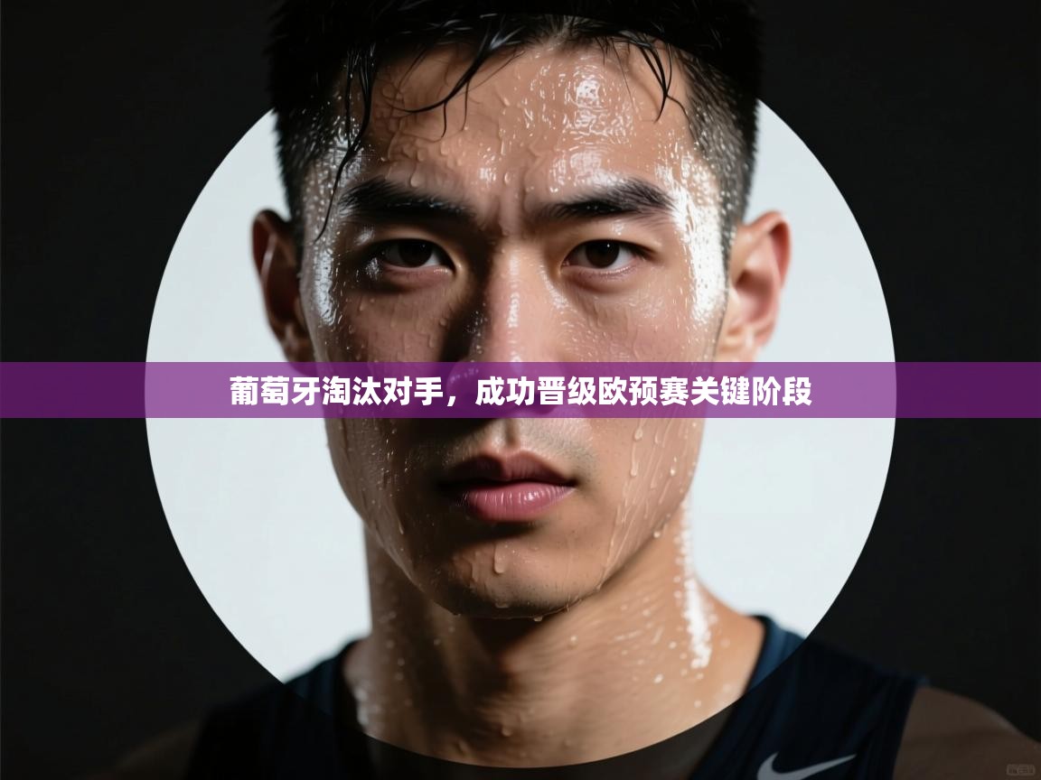 葡萄牙淘汰对手，成功晋级欧预赛关键阶段  第2张