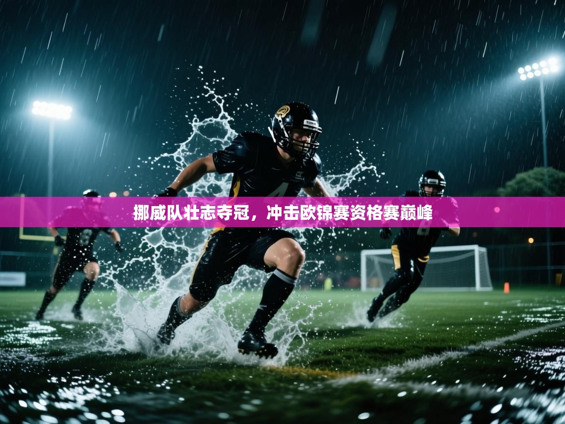 挪威队壮志夺冠，冲击欧锦赛资格赛巅峰  第2张