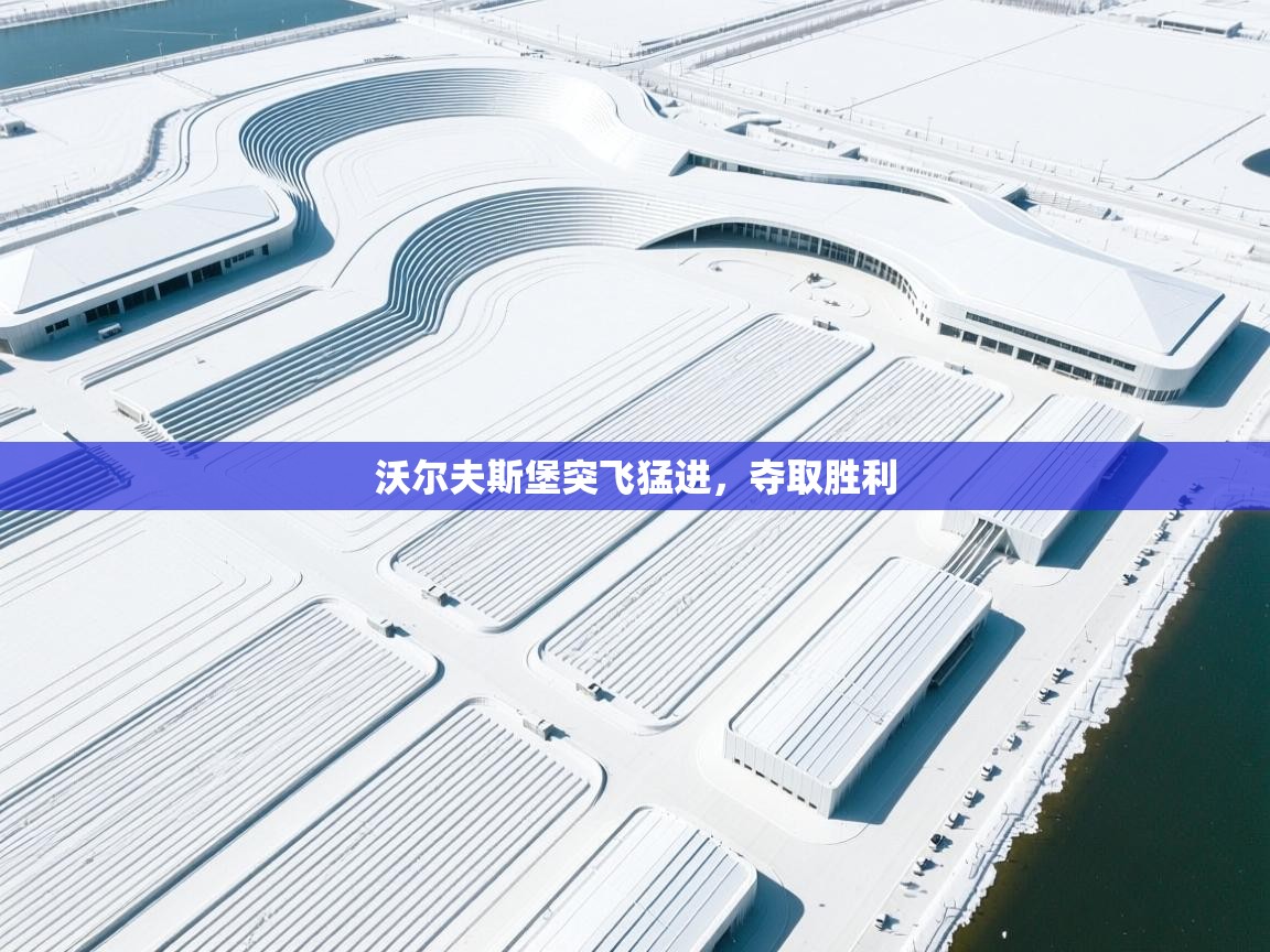 沃尔夫斯堡突飞猛进，夺取胜利  第2张